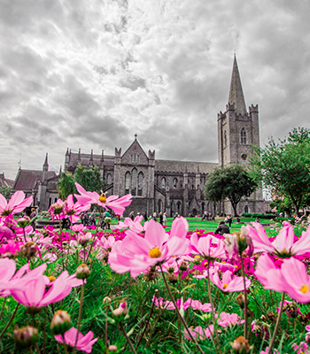 St. Patrick's Cathedral St. Patrick's Cathedral