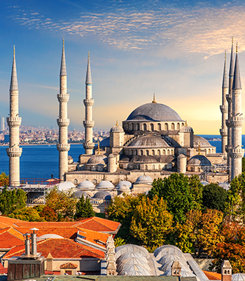 Istanbul Mosque