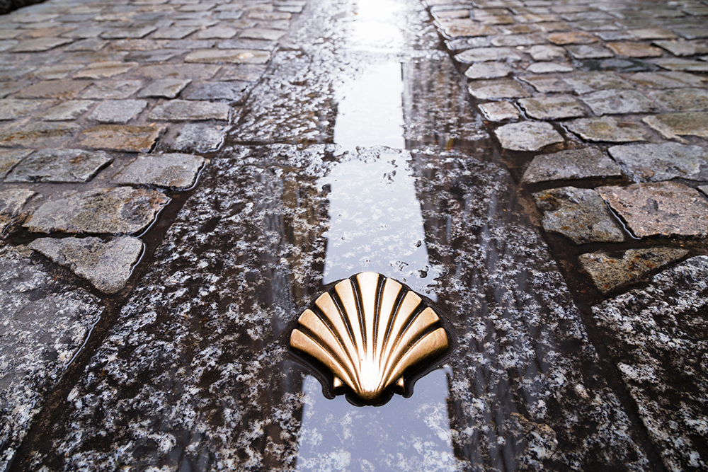 Camino de Santiago