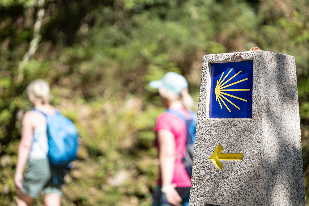 Camino de Santiago