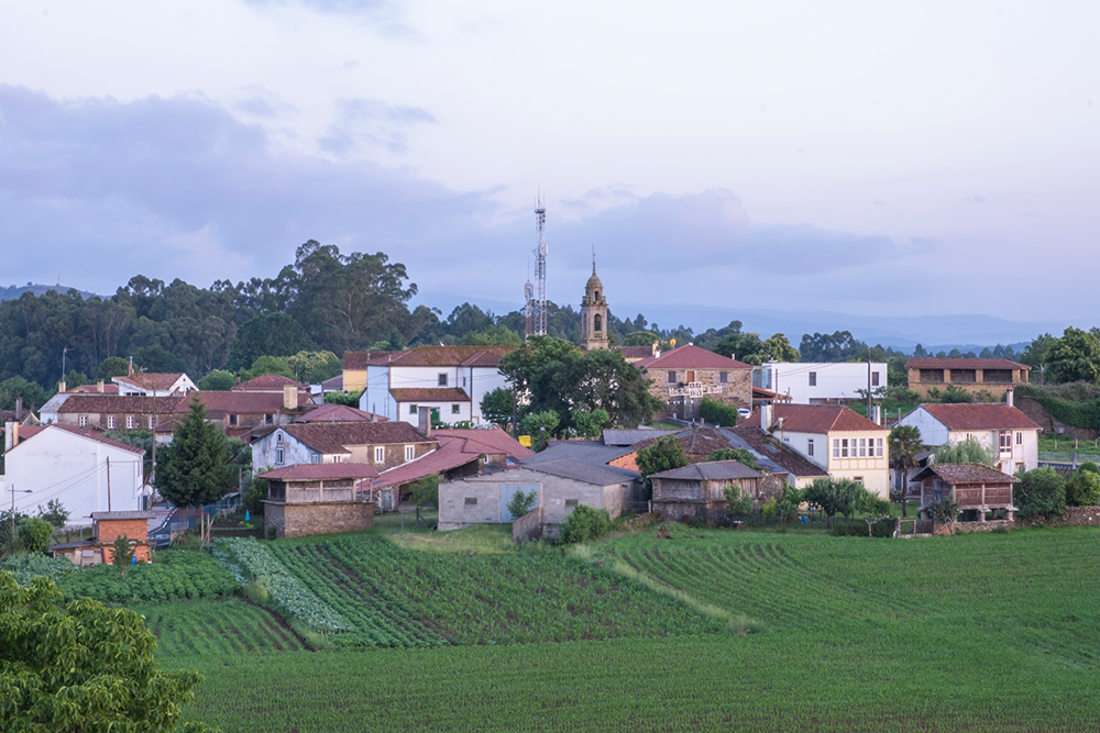 O Pedrouzo